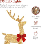 Holiday Glow Reindeer Set