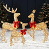 Holiday Glow Reindeer Set